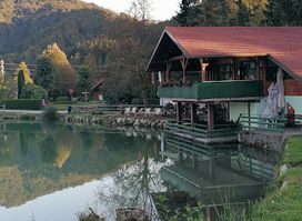 Okrepčevalnica Ribič Mirjana Dajčer s.p.
