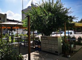 Osteria n.10