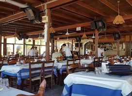 Y&P Fish Tavern