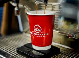 Kaapitaarvik