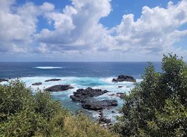 Norfolk Island National Park