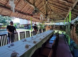 Milan's Native Food and Grill