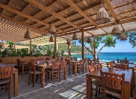BARBA BILL GREEK TAVERNA