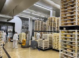 SIRANA GLIGORA Ltd.