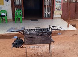 Eastern Lion Takeaway