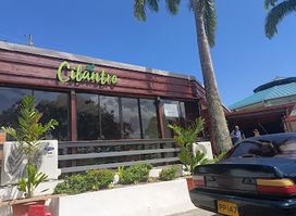 Cilantro