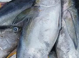 Yustan Seafood Processing