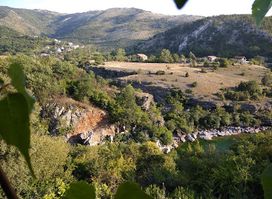 Mijović