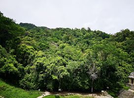 Zona Arqueológica Palenque