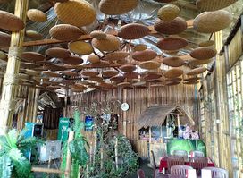 Green Bird Kachin Traditional Foods