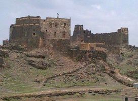 شيخ الجرادي