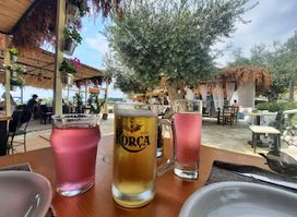 The Jester`s Taverna