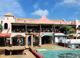 Iguana Cantina