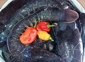 LES SAVEURS D'EDITH