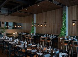 The Social Bar & Bistro