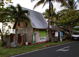 Iguana Café