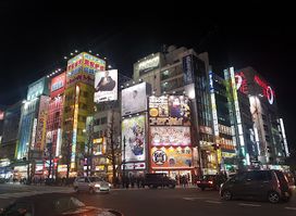 The Beef Master Akihabara Store