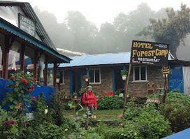 Hotel forest Camp & Restaurant