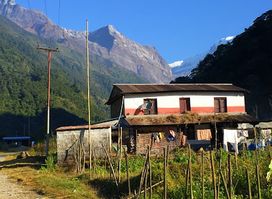 Village Tea Shop