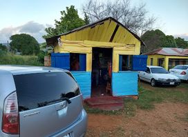 The Dumplin Shop
