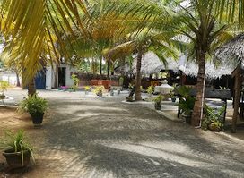 Kite Paradise Restaurants