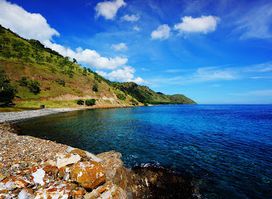 Dive Timor Lorosae