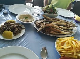 مسمكة الريس مصطفى