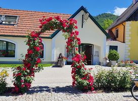 Landgasthaus Essl