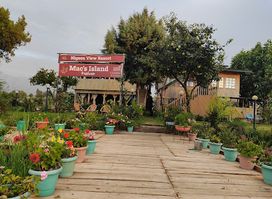 Mac's Island Kashmir - Resort & Restaurant(24 Hours Service) | Best Resorts in Srinagar