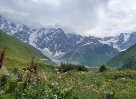 Shkhara Glacier Restaurant