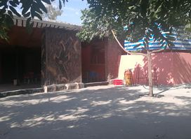 Gamalo food