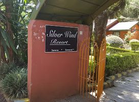 Silverwind, Kiriko Kenya.