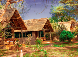 Thornicroft Lodge - South Luangwa