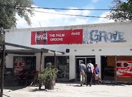 The Palm Grove