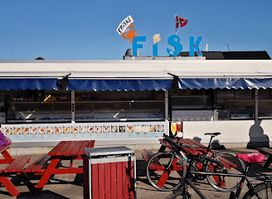 Ballen Fisk