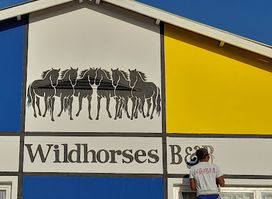 Wildhorses B&B and Self Catering