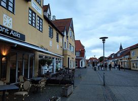 Restaurant Asia Skagen