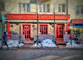 Bravyi Shveik