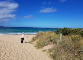 Apollo Bay Seafood Cafe