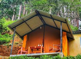 Eco Wild Glamping Bambarakanda