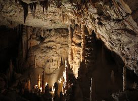 Postojna Cave Rooms & Apartments Proteus