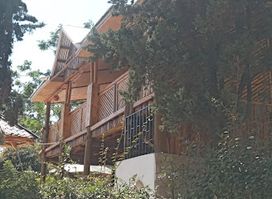 Tutu's Cafe and Restro