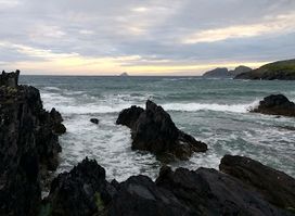 Driftwood Surf Cafe