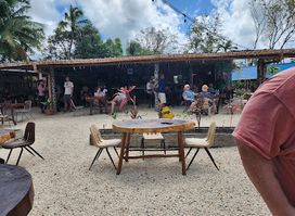 The Iguana Stop