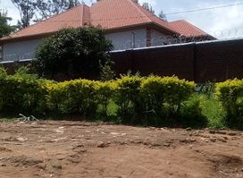 Restaurant (Kwa Mameni)