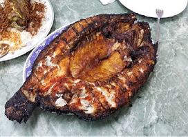 اسماك الاخوين