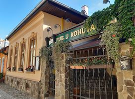 Pub u Kohúta