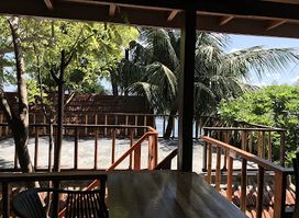 Palm Village