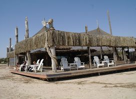 Tiger Reef Beach Bar & Grill