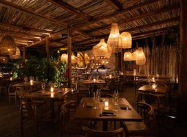 Tora | Japanese Restaurant in Tulum
